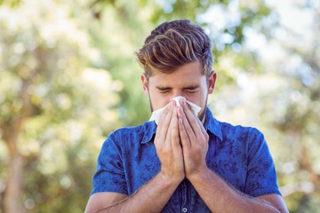 Chiropractic care for allergies at Premier Chiropractic, Spring Hill, TN