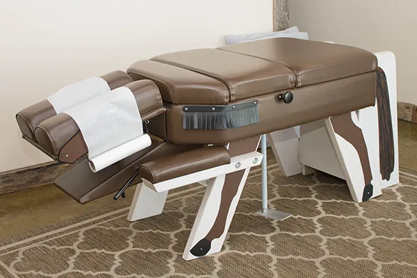 Family Chiropractic Care Near Me in Spring Hill, TN. Chiropractor For Families.